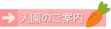 入園のご案内